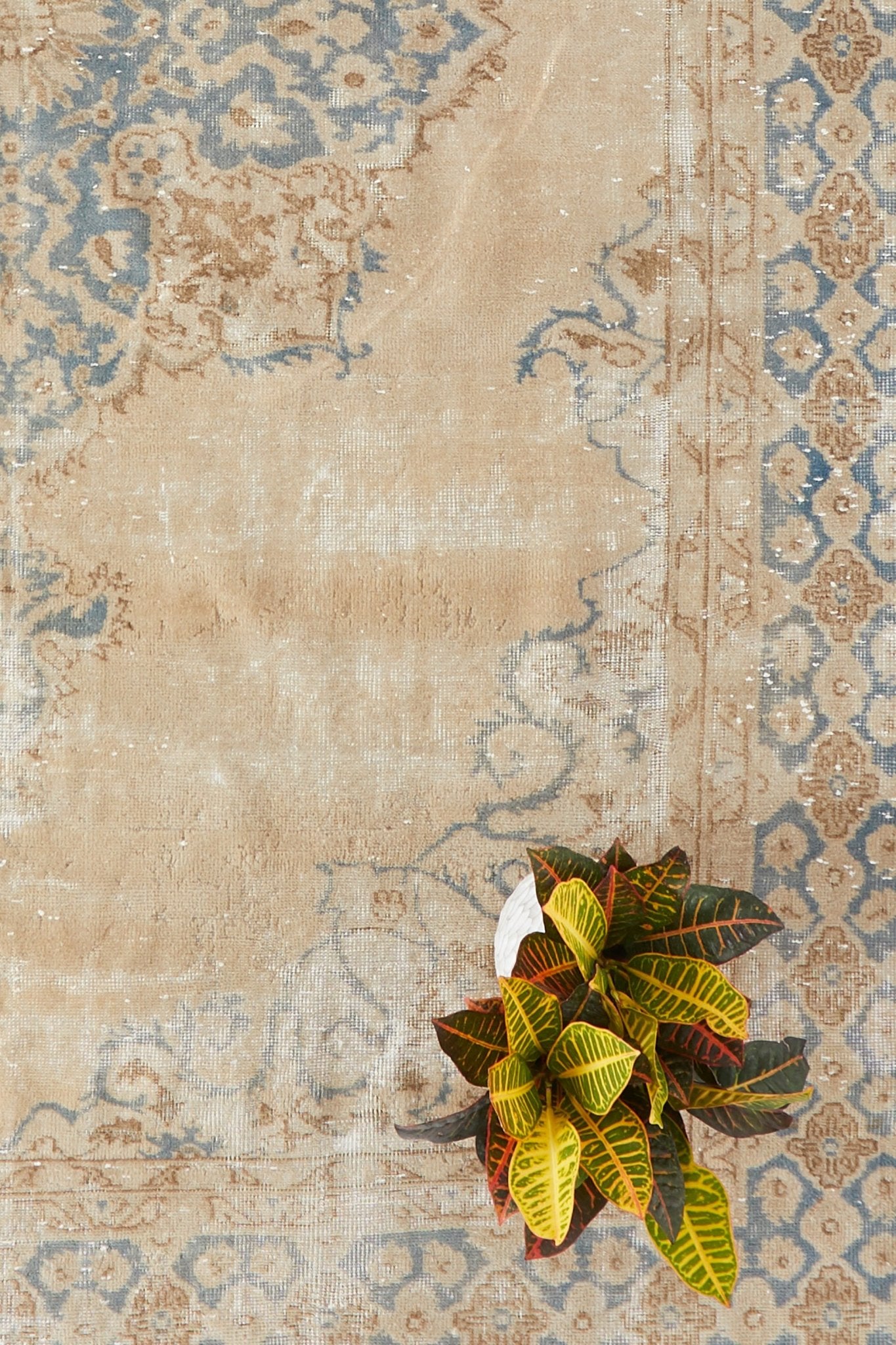 'Caraway' Vintage Persian Rug - 7'6