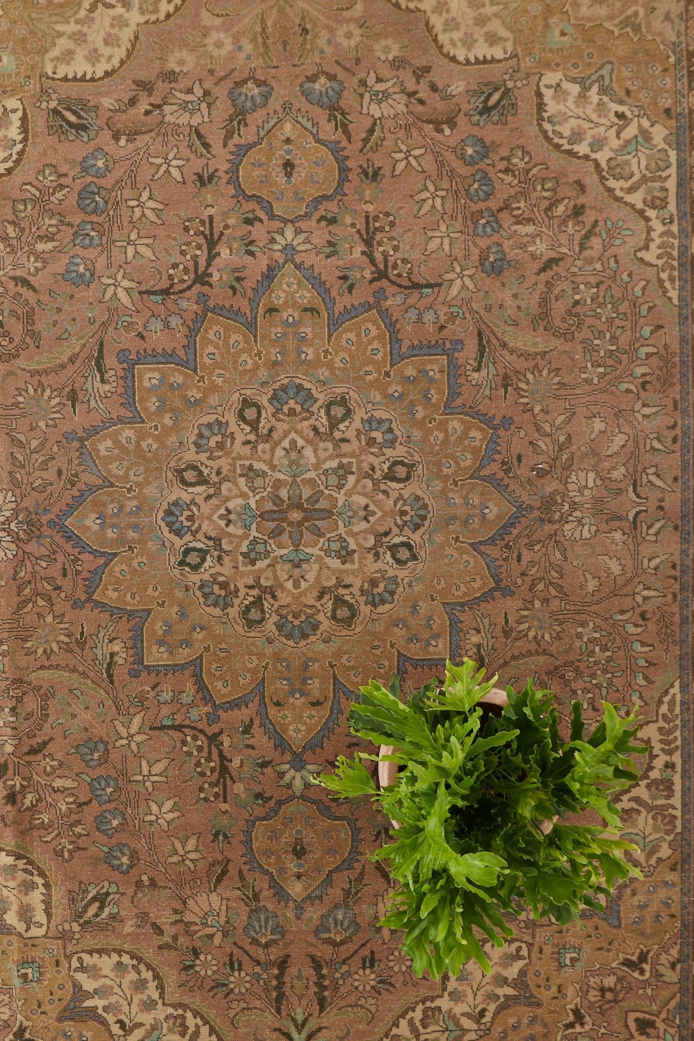 'Cyrus' Persian Antique Area Rug - 9'8'' x 12'7'' - Canary Lane
