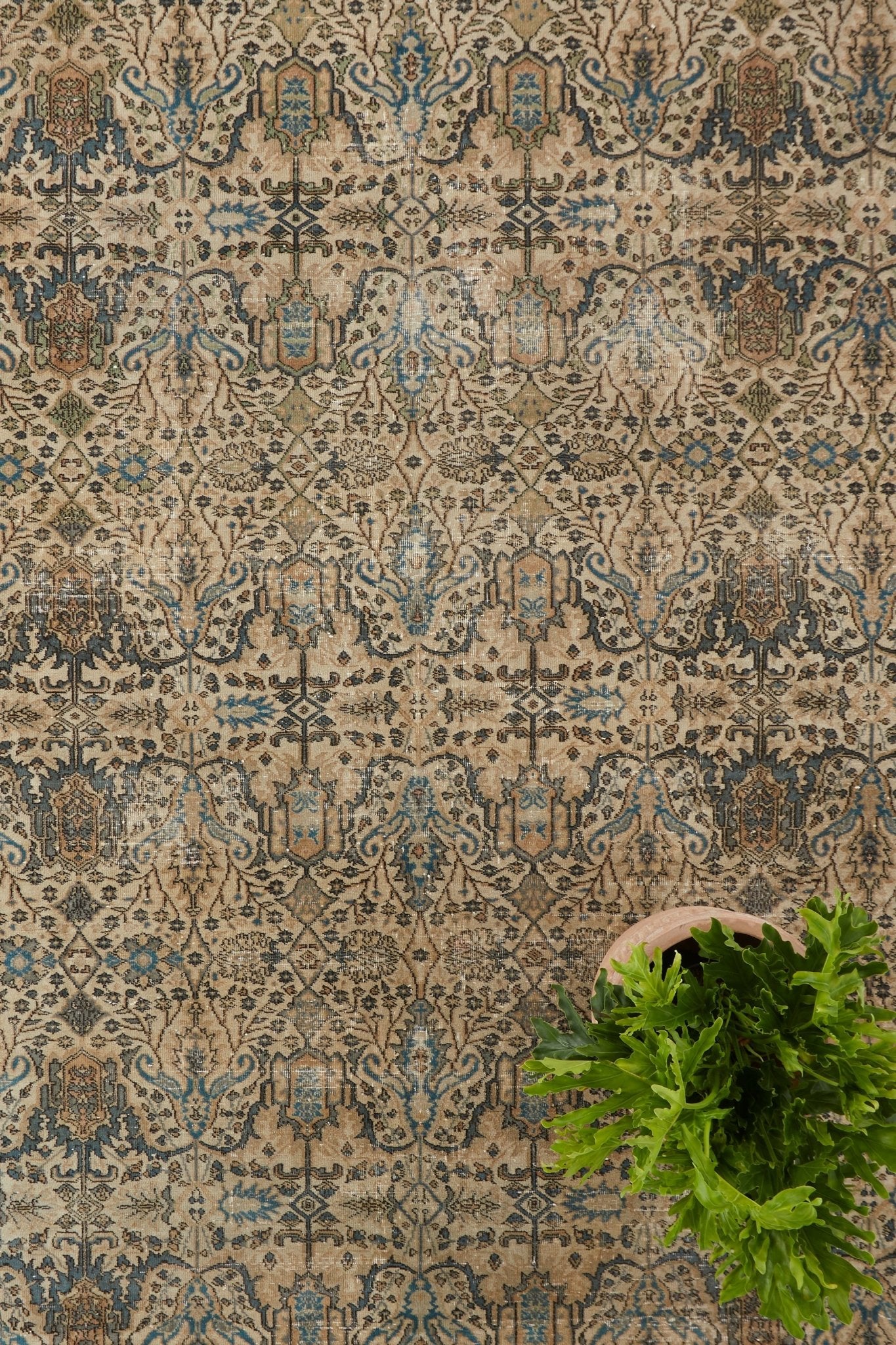 'Finnigan' Turkish Vintage Area Rug - 9'3'' x 12'11'' - Canary Lane