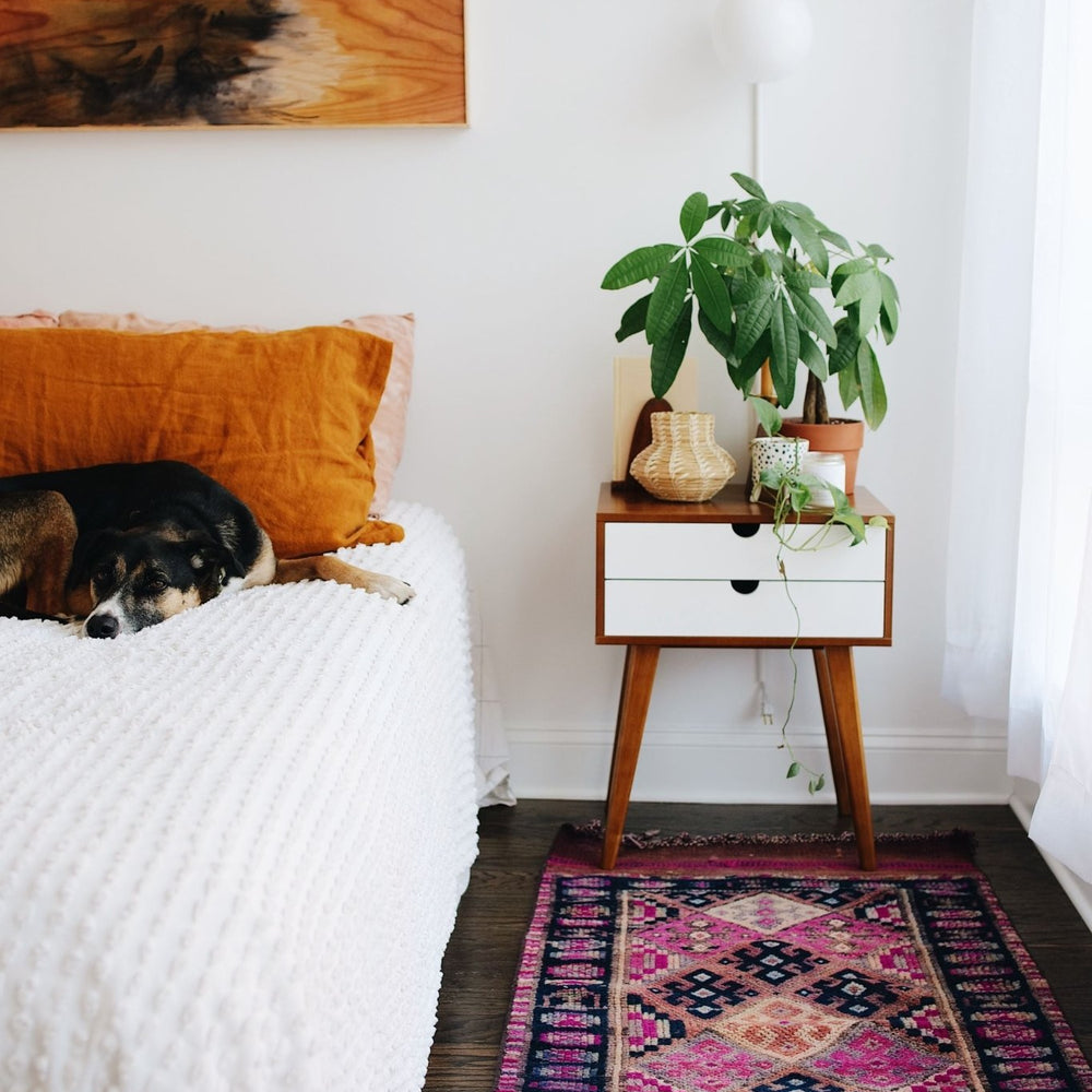 
                  
                    'Lorelai' Turkish Vintage Runner Rug - 2'7" x 9'4" - Canary Lane
                  
                