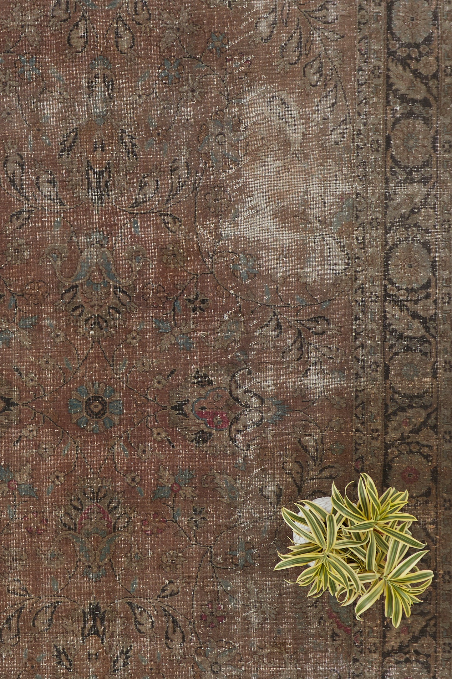 
                  
                    'Scorpio' Turkish Vintage Area Rug - 6' x 9' - Canary Lane - Curated Textiles
                  
                